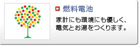 熱料電池